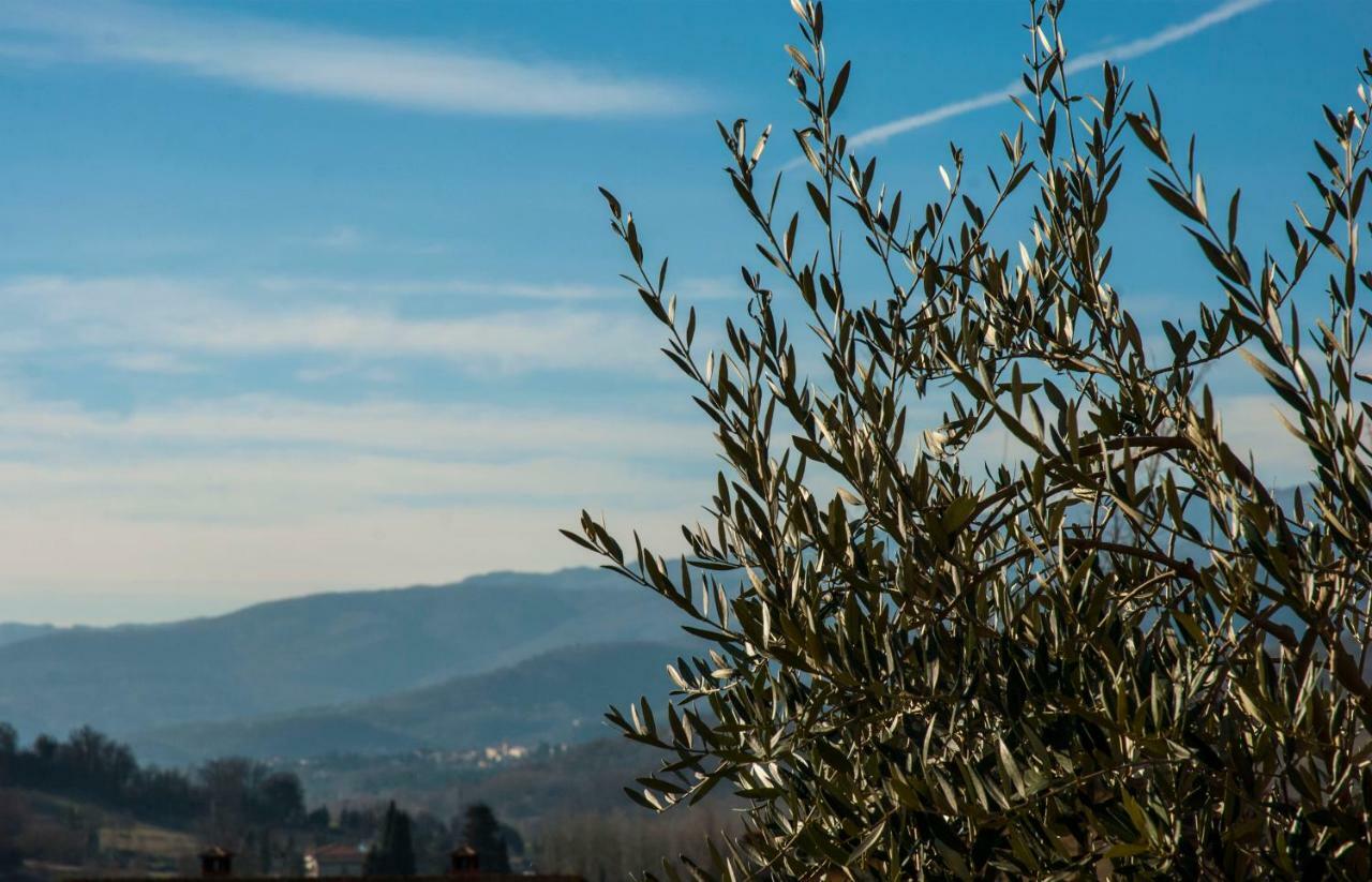 "La Casetta" Pratovecchio Bagian luar foto